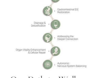 Detox Pathways: The Key to Healing Autoimmune Conditions and Lyme Disease